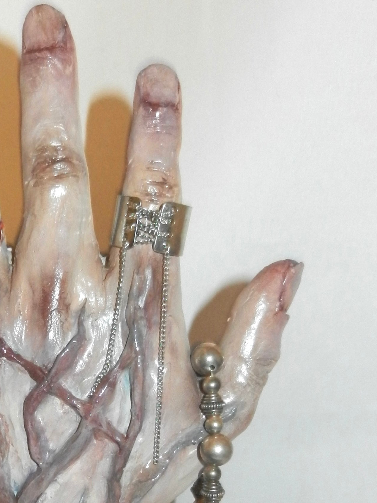 1/1 veins ring holder
