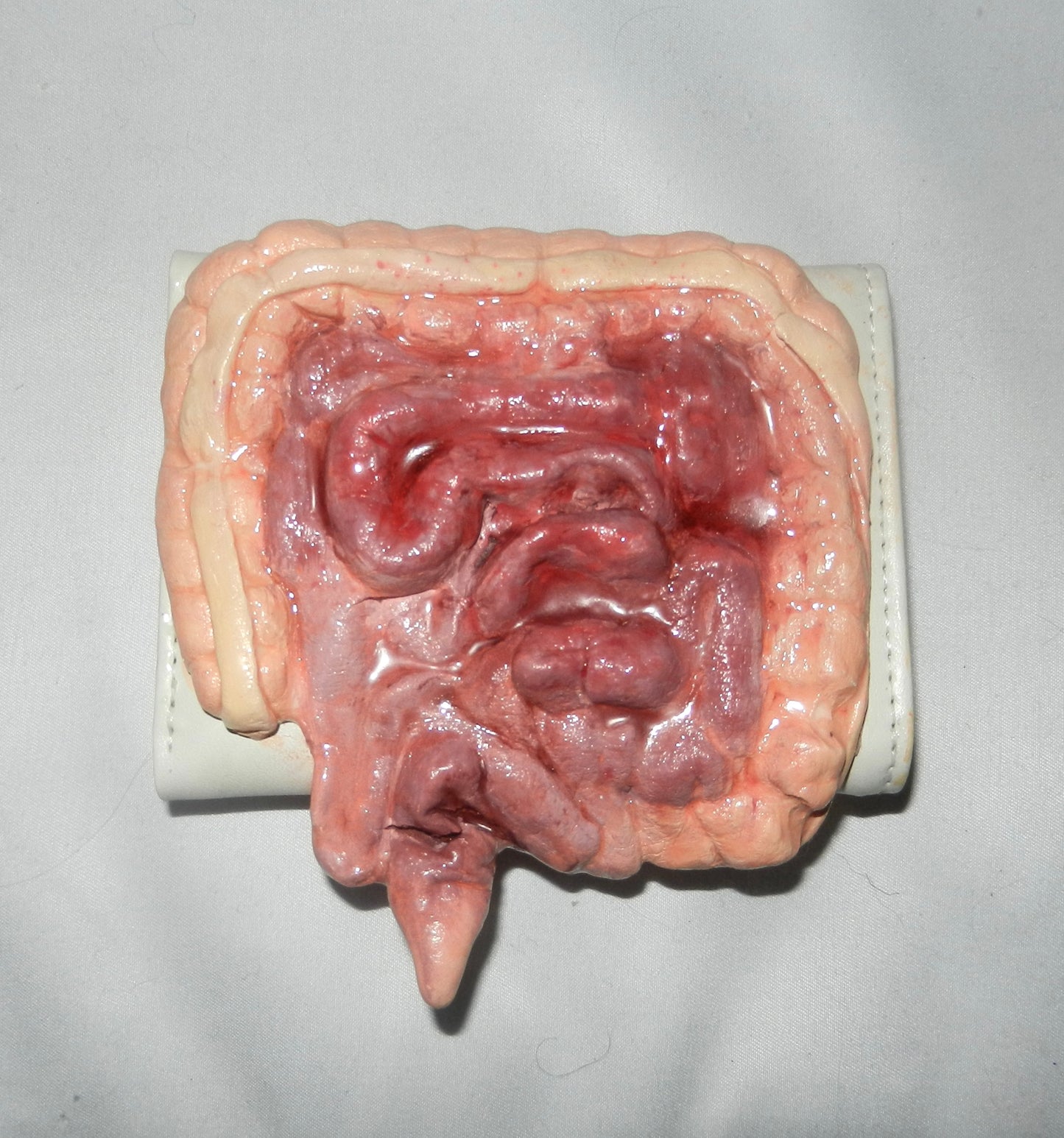 1/1 large intestine wallet
