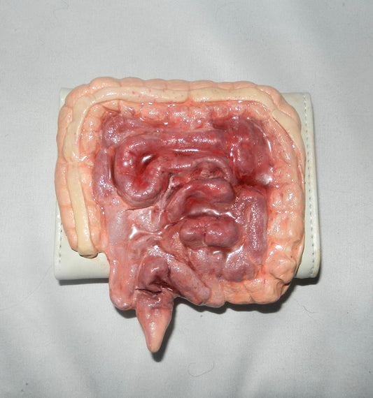 1/1 large intestine wallet