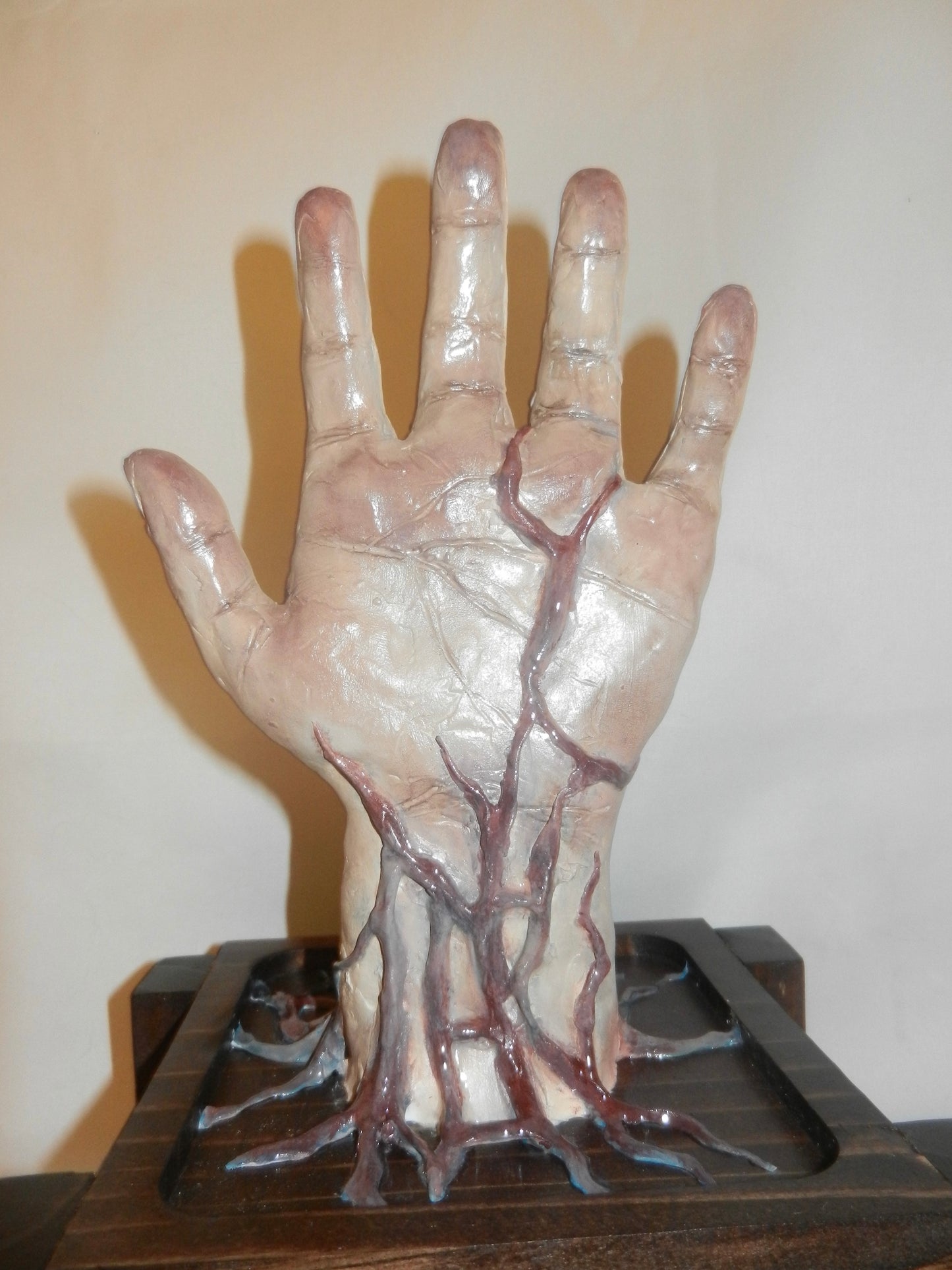 1/1 veins ring holder